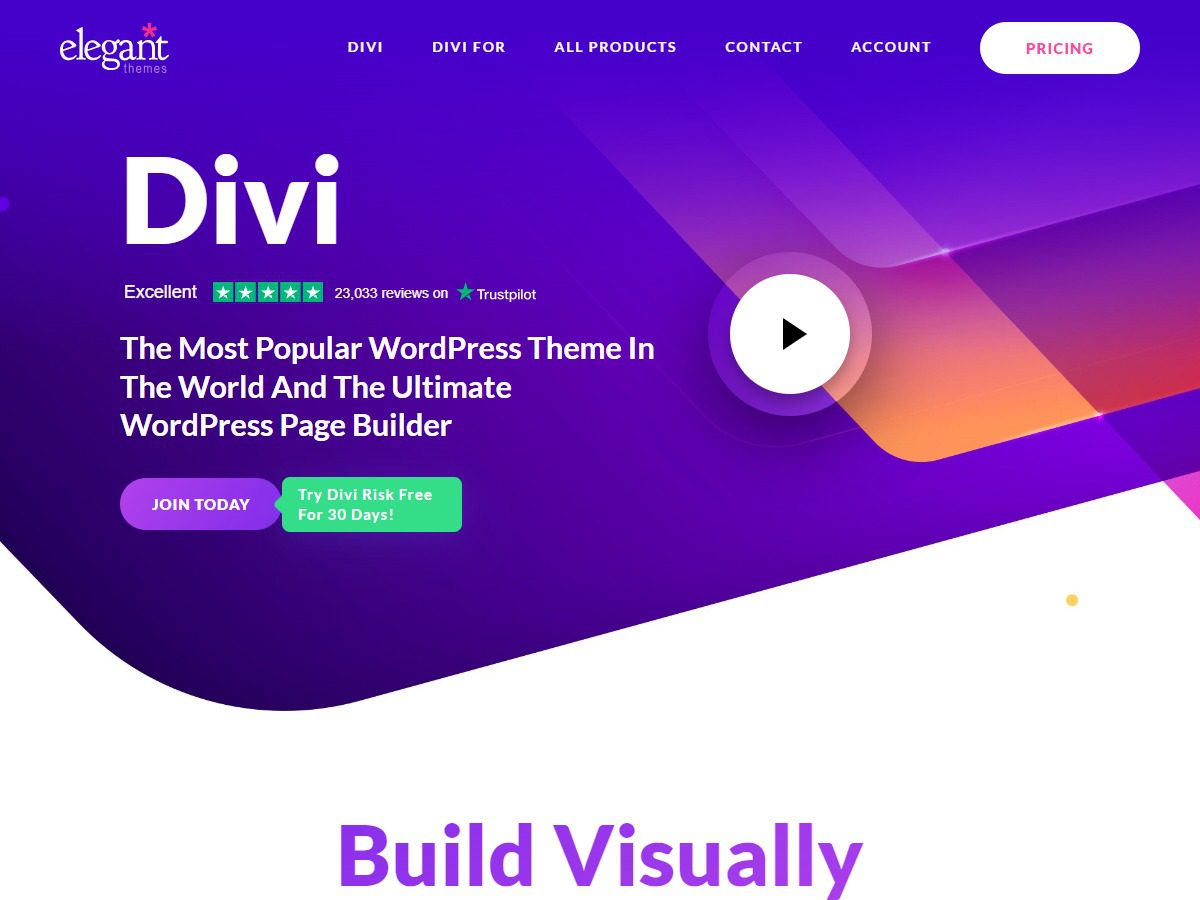 Divi 主题