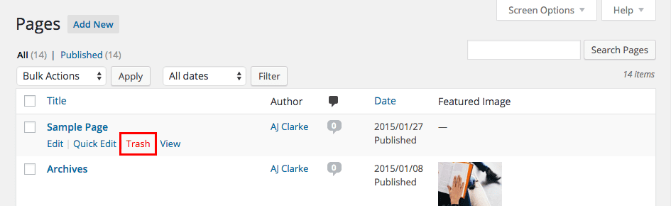删除一个 WordPress 页面