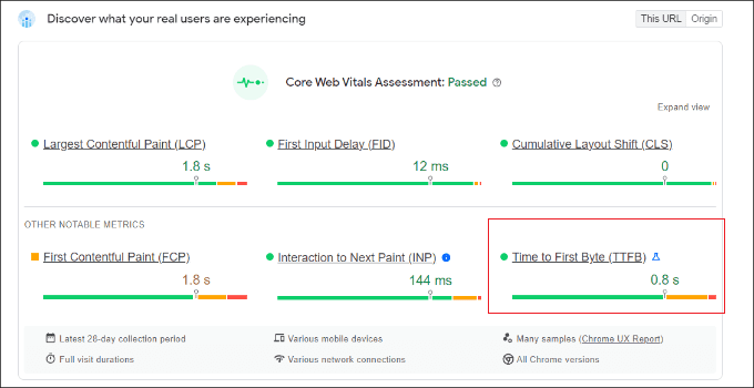 使用 PageSpeed Insights 工具查看 TTFB 分数