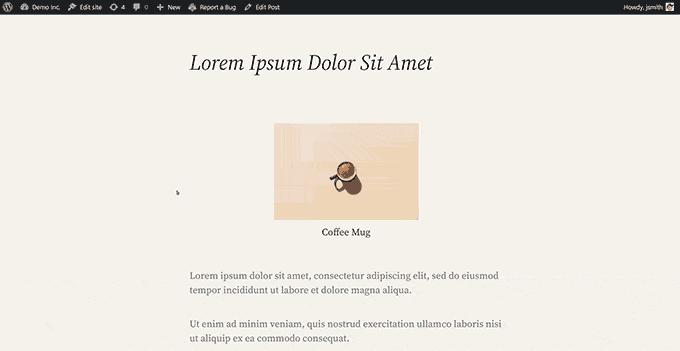 WordPress 6.4 中的图片弹窗演示
