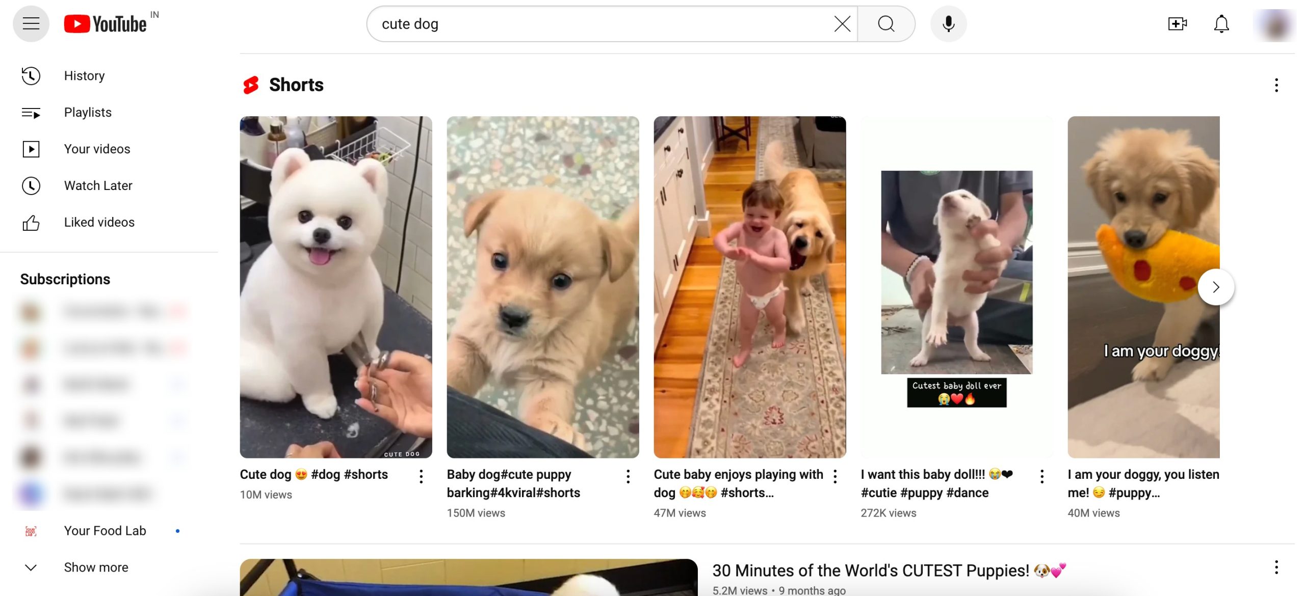 YouTube Shorts 板块