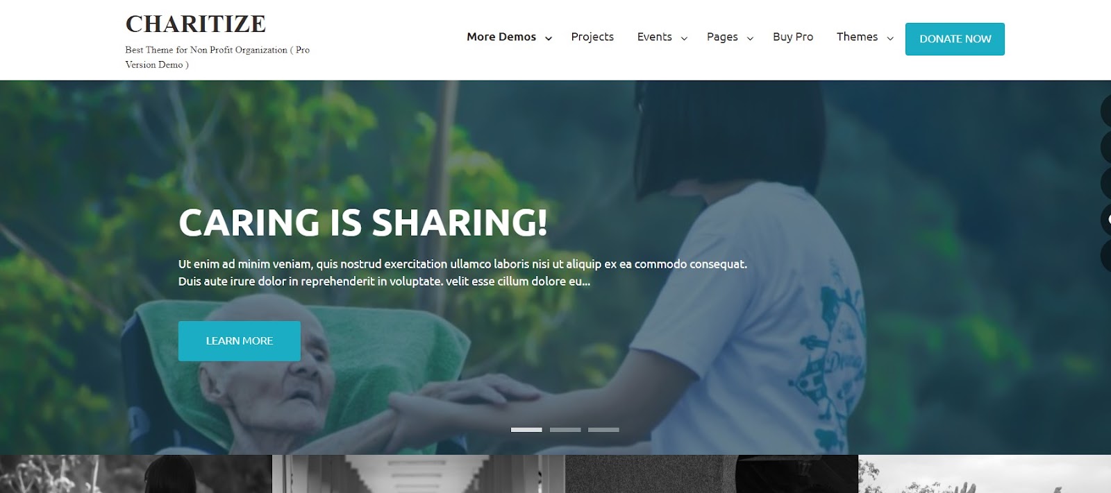 Charitize Theme
