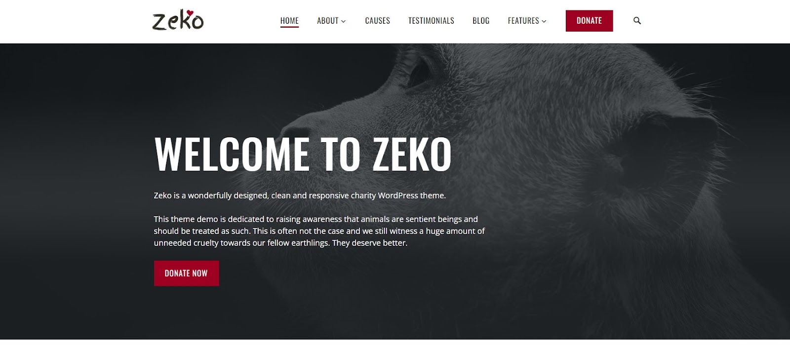 Zeko Theme